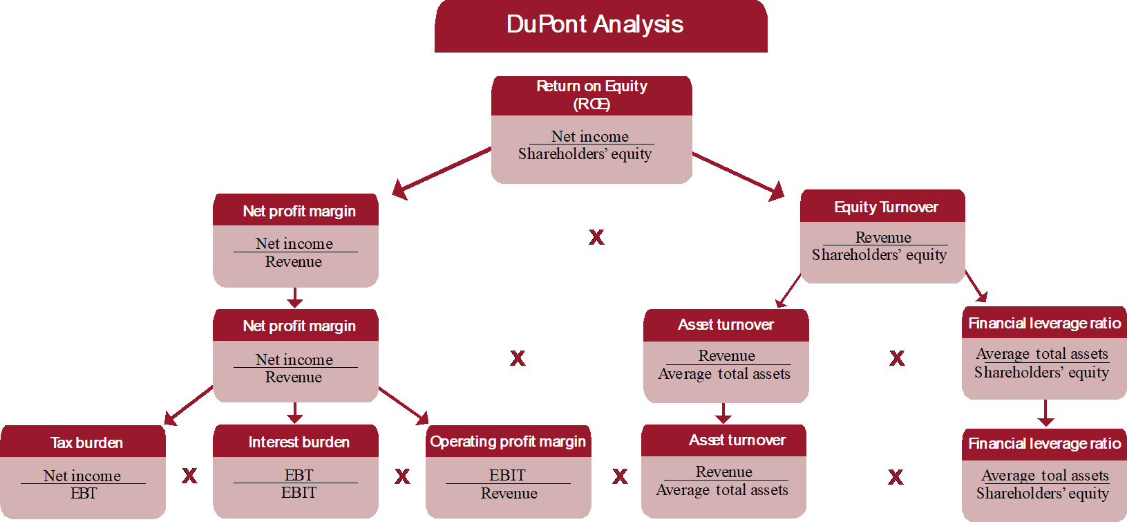 Du Pont Analysis
