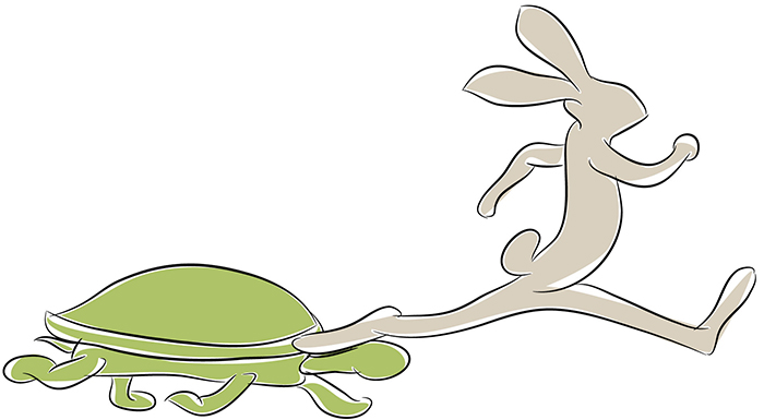 tortoise-hare700