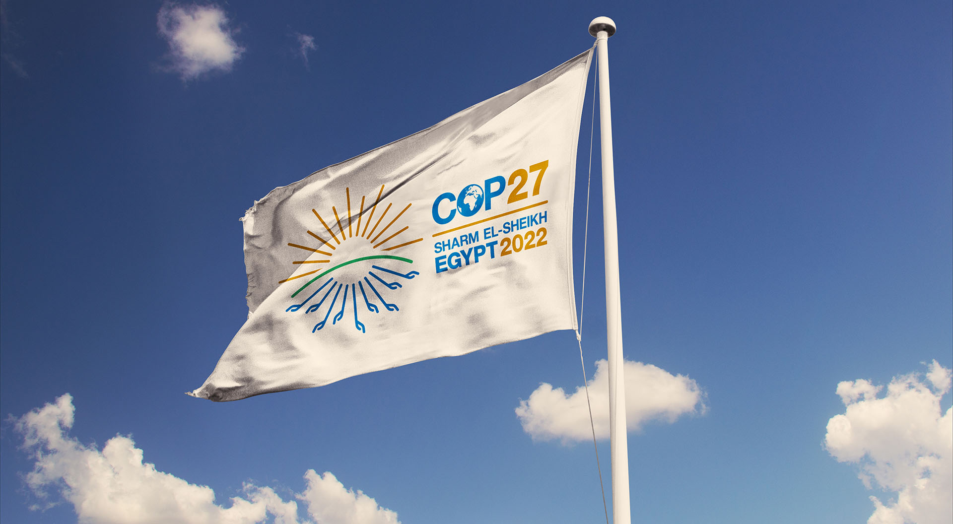 COP27